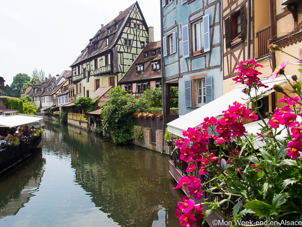 Découvrir les 51 Grands Crus d'Alsace