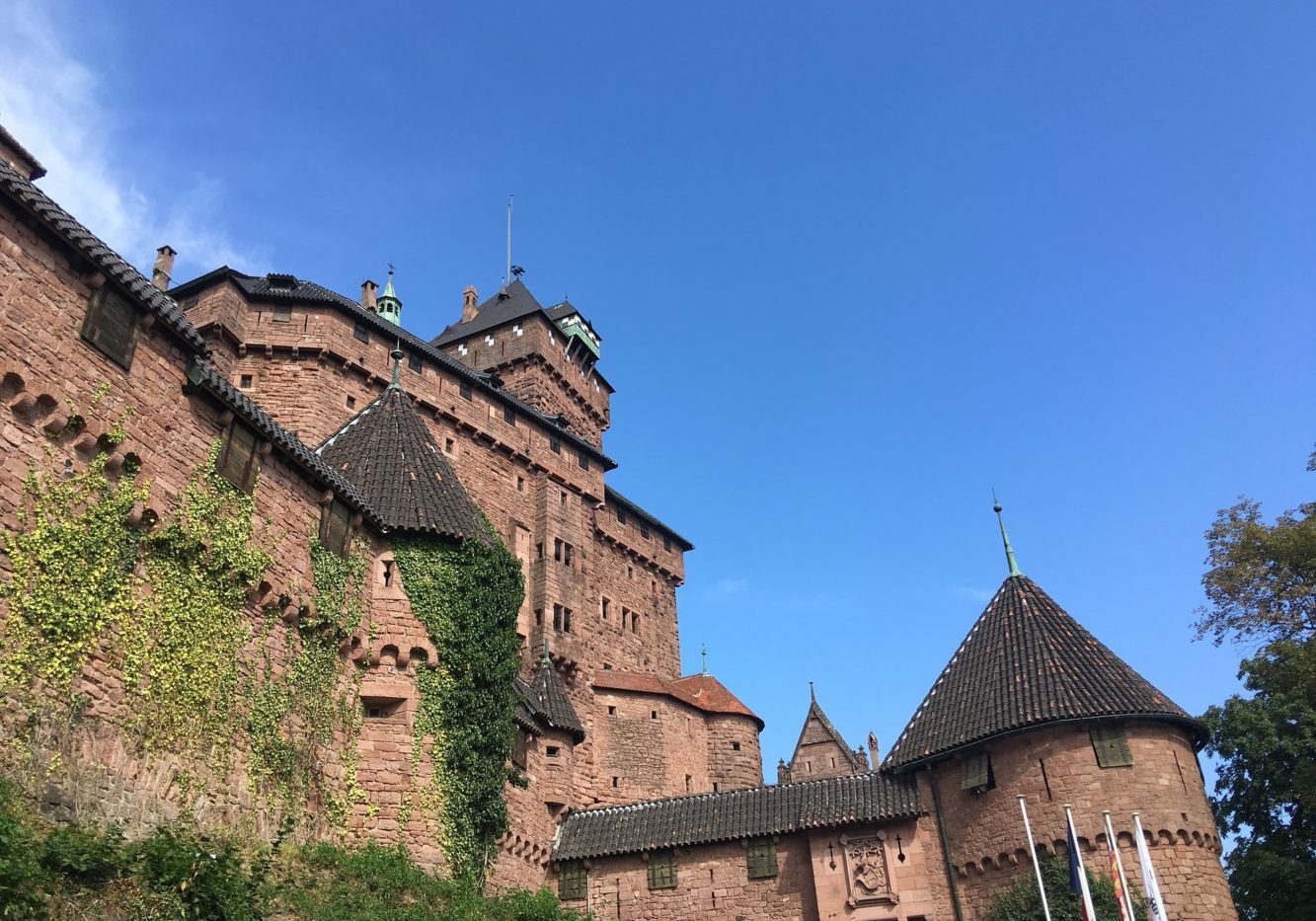 visite-chateau-alsace